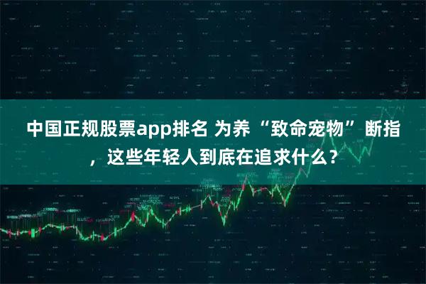 中国正规股票app排名 为养 “致命宠物” 断指，这些年轻人到底在追求什么？